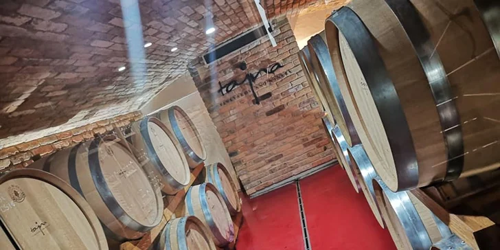 Pobyt ve 4* hotelu s možností degustace i víkendovým vařením piva pro 2