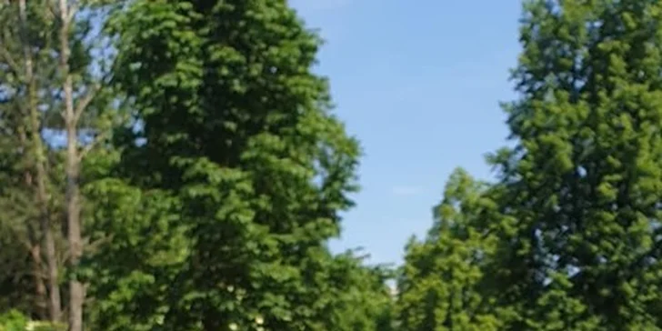 Parádní nálož: dvojitý cheeseburger se slaninou a domácí houskou pro 1 i 2 osoby