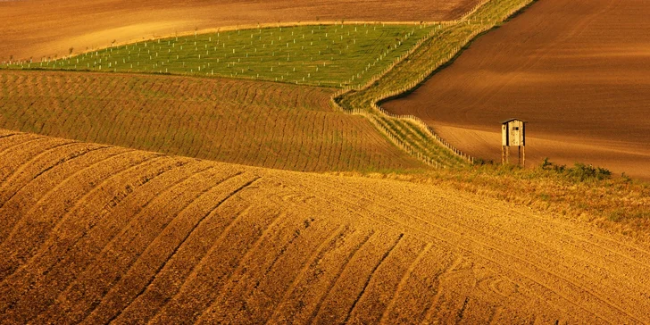 Moravské Toskánsko: pohodový pobyt ve vinném sklepě s ubytováním až pro 8 osob