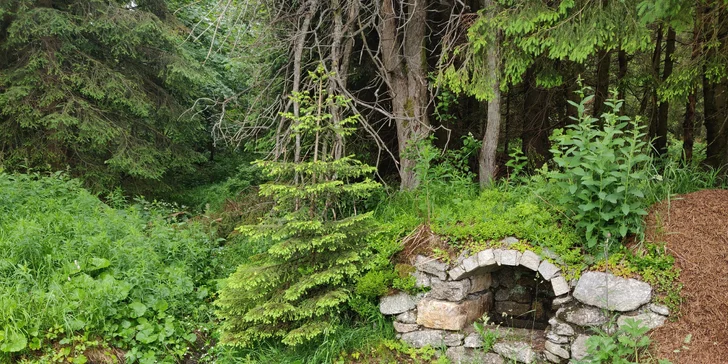 Letní dovolená v krásném Bavorském lese pro pár i rodinu: cyklostezky i pěší turistika