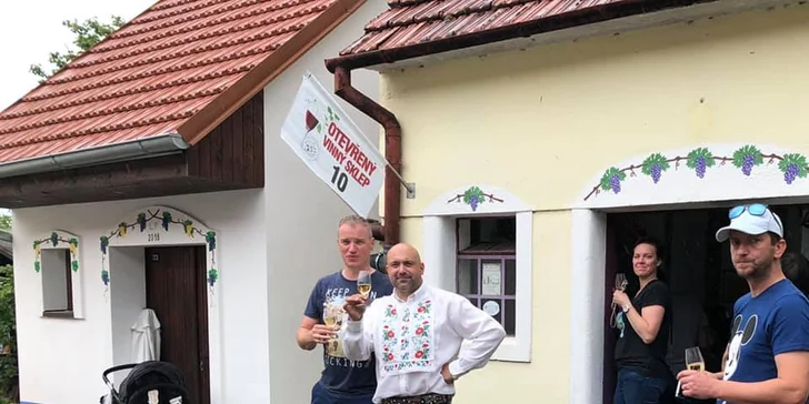Ráj pro milovníky vína: Svatovavřinecké otevřené sklepy v Bořeticích