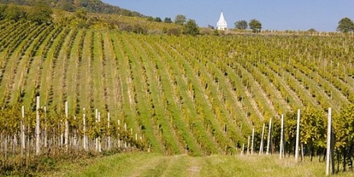 Svatomartinská vína s gurmánskou husou a víkendovým ubytováním na Moravě.