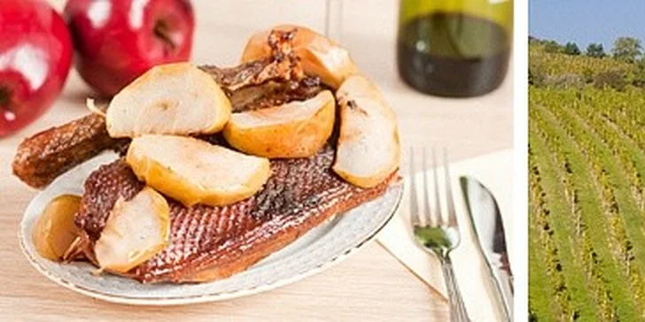 Svatomartinská husa a mladá vína v moravském sklípku, relaxační víkend.