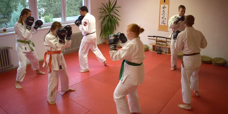Výuku vede Martin Procházka, shihan 7 dan.