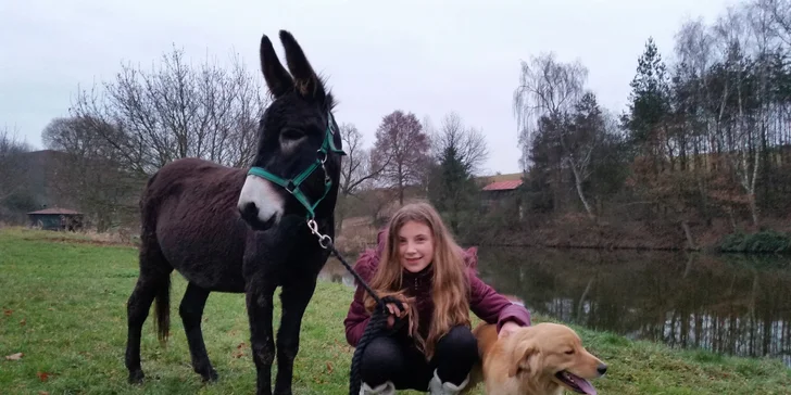 Vezměte i domácí mazlíčky, ať si také užijí!