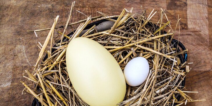 Lokální farmářské dobroty: čerstvá pštrosí vejce, pštrosí játrovka i paštika