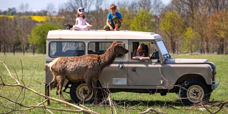 Hurá za zvířátky: pobyt v Safari resortu až pro 6 os., snídaně a projížďka