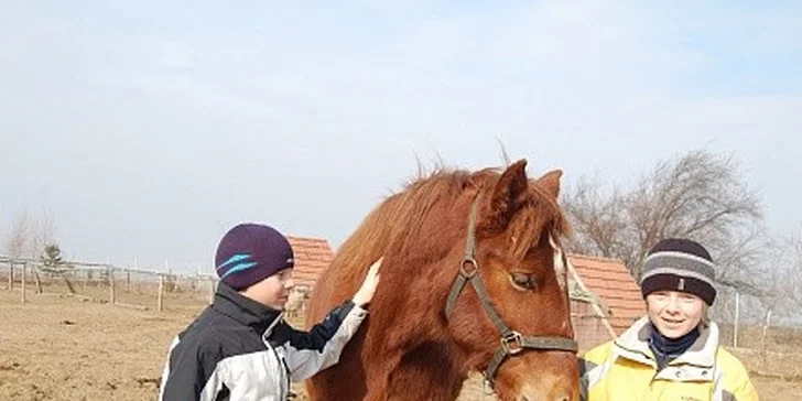 Hodina jízdy na koni pod dohledem instruktora