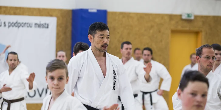 3denní vstupenka na Mistrovství světa v shotokan karate SKIF 2019
