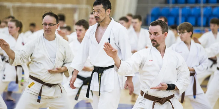 3denní vstupenka na Mistrovství světa v shotokan karate SKIF 2019