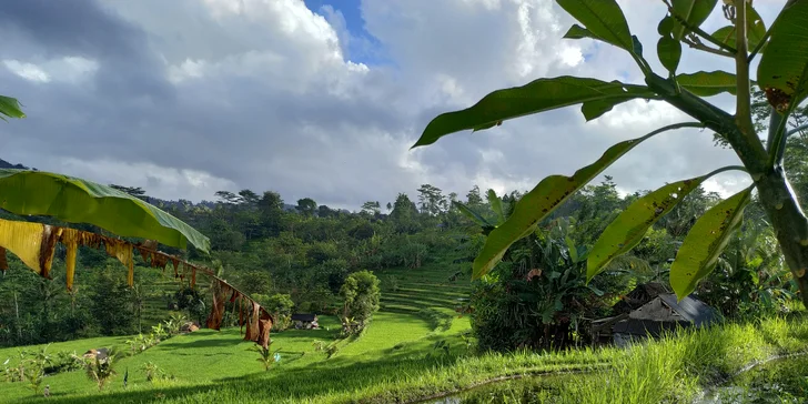 Odpočinek na Bali: 13 dní v 3* a 4* hotelech se snídaní, lekcemi jógy a výlety