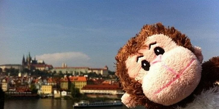 Udělejte radost svým dětem s profi balíčkem cestovatel pro jejich plyšáka