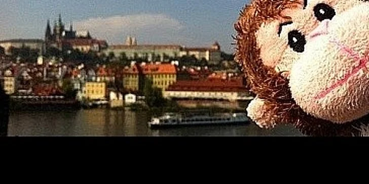 Udělejte radost svým dětem s profi balíčkem cestovatel pro jejich plyšáka