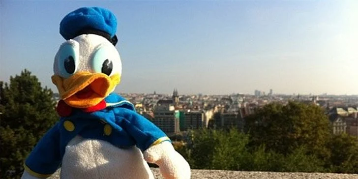 Udělejte radost svým dětem s profi balíčkem cestovatel pro jejich plyšáka