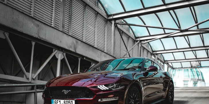Za volantem Ford Mustang 5.0 GT 2019: projížďka i zapůjčení na víkend