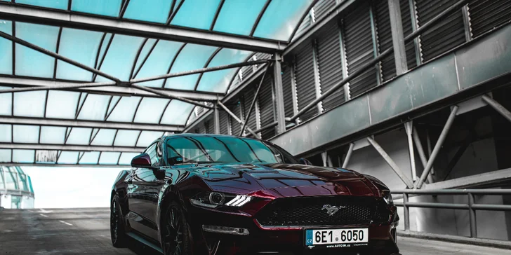 Za volantem Ford Mustang 5.0 GT 2019: projížďka i zapůjčení na víkend