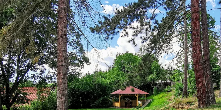 Majitelé pečují také o zahrádku a přilehlý sad. 