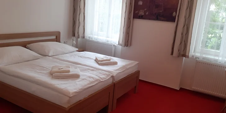Ubytujete se ve dvoulůžkovém pokoji zařízeném v jednoduchém funkčním stylu.