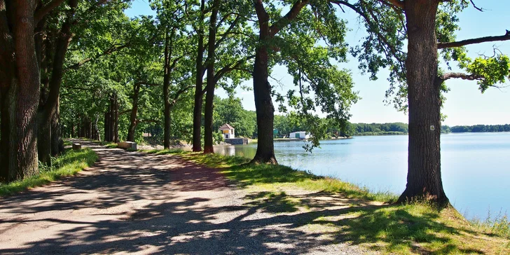 Pohodlí a relax si užijete i v okolí chaty – před ní se rozprostírá travnatá pláž s posezením a ohništěm.