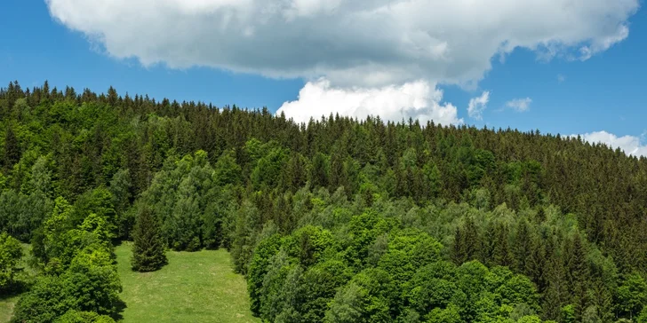 Výletovať nemusíte len v Poľsku, necelých 7 kilometrov ďaleko máte českú prírodnú rezerváciu K-rálický Sněžník.