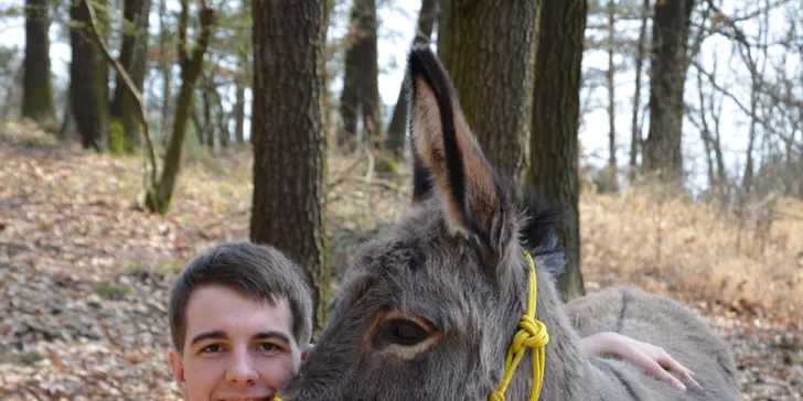 Osoby nad hmotnostní limit si mohou oslíka samostatně vést.