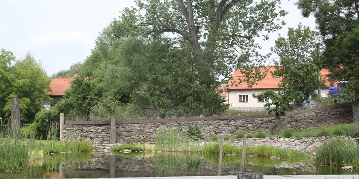 Ty mezi sebou budou soutěžit v průběhu celého týdne o body. Vítězný tým se potom může těšit na věcné ceny. 