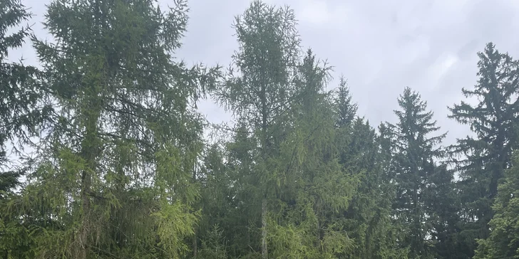 Mají tu i úplně nové dětské hřiště.