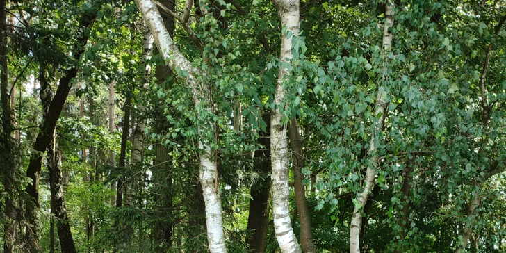 Venku je posezení s ohništěm a grilem a zahrát si můžete i společenské hry.