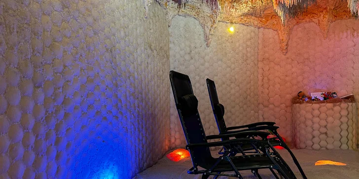 Malí návštěvníci do 5,9 let mají vstup zdarma, děti od 6 do 15 let platí snížené vstupné. 