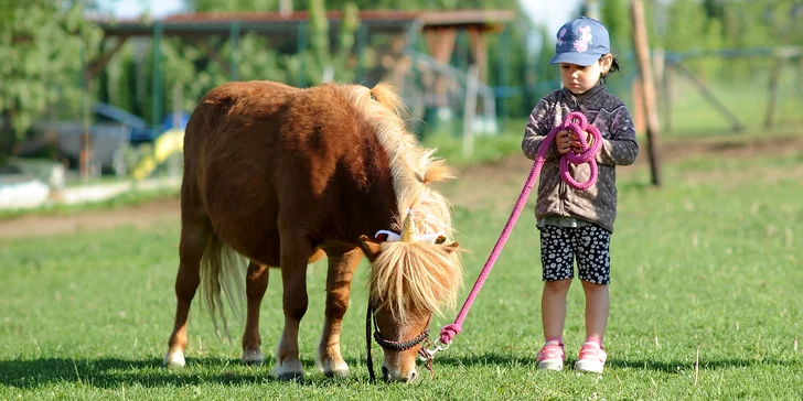 Můžete si pohladit, nakrmit a pomazlit nejen klasické farmářské obyvatele, jako jsou chundelatá morčata, poslušné ovce, zvídavé a majestátní koně a poníci.