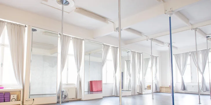 Firefly taneční studio bylo prvním studiem v Česku, které se specializovalo výhradně na výuku pole dance. 