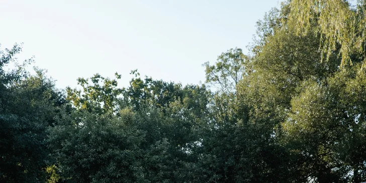 V ceně pobytu máte kromě wellness také každodenní snídaňový koš.