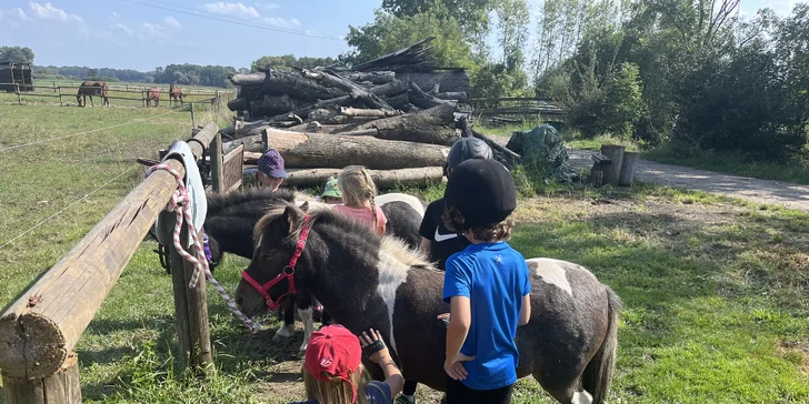 Zhruba půlku času pak mohou strávit projížďkou na jejich čtyřnohém parťákovi. 