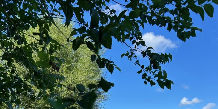 Deti sa vybláznia na vonkajšom ihrisku.
