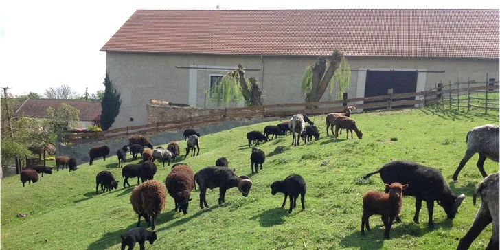 Součástí hotelového resortu je totiž farma s drobnými domácími zvířaty, takže ani vaše ratolesti se určitě nudit nebudou.