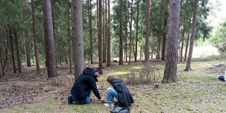 Své kořeny má terapie v Japonsku, kde se tento koncept nazývá Shinrin-yoku, což doslova znamená „lesní koupel“.