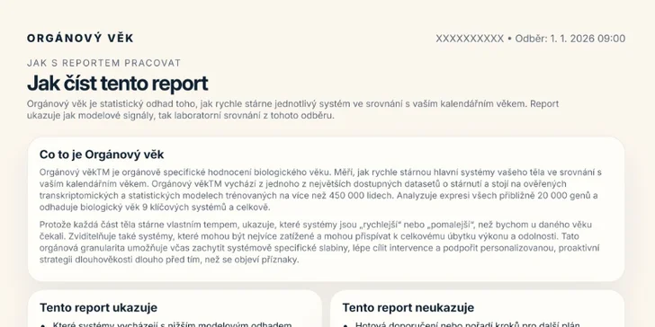 Dostanete také podrobný 90denní plán a na míru sestavená doporučení v oblasti stravy, pohybu, spánku či suplementace.