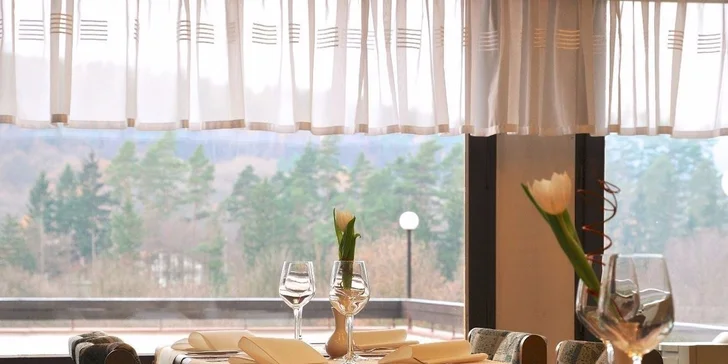 Polopenzi si vychutnáte v hotelové restauraci zaměřené na českou kuchyni.