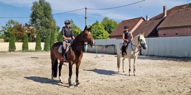 Podle velikosti jezdce osedlají koně nebo ponyho. 
