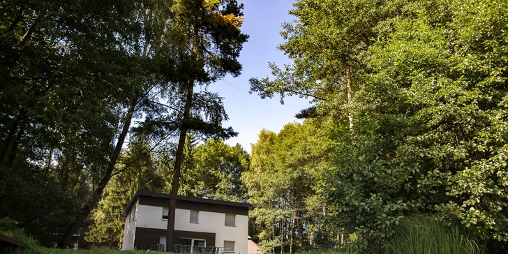 V Chatách u sovy a u lišky se po předchozí domluvě může ubytovat i váš domácí mazlíček.