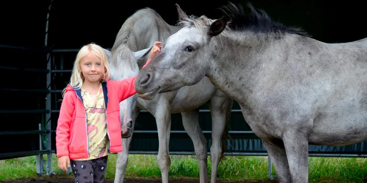 Skvěle hodnocený Ranch Assen pořádá příměstské tábory, kde si všechny děti od 7 do 14 let užijí skvělé dny se zvířaty. 