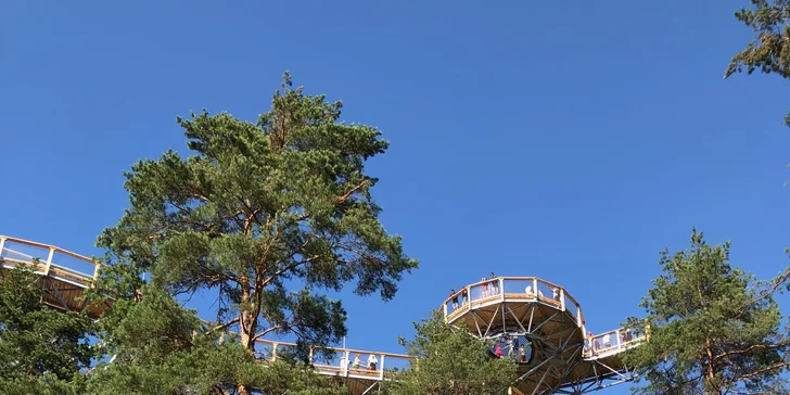 Najkrajšou a najaktuálnejšou atrakciou v okolí Bojníc je bez pochýb nová vyhliadková veža v korunách stromov, z ktorej je možné vidieť Prievidzu a Bojnice.