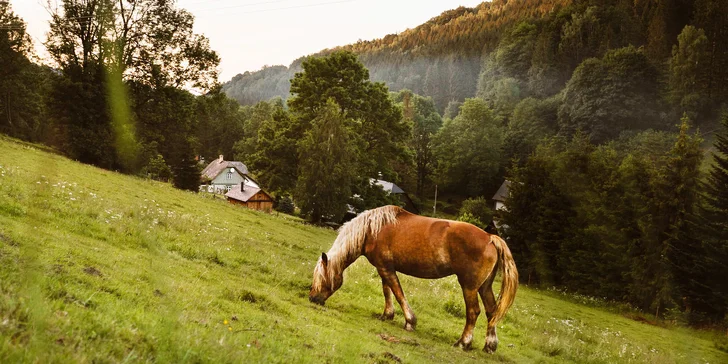 Přijet můžete až v 6 lidech. Co takhle vyrazit s celou rodinou?