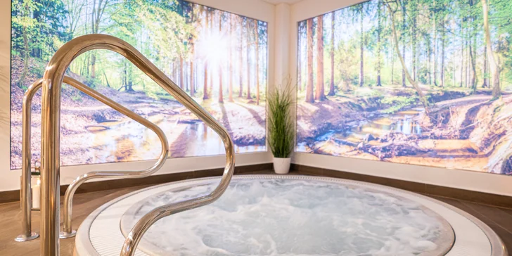 Ve skvěle hodnoceném Wellness Böhmova strávíte 60 nebo 120 minut. 