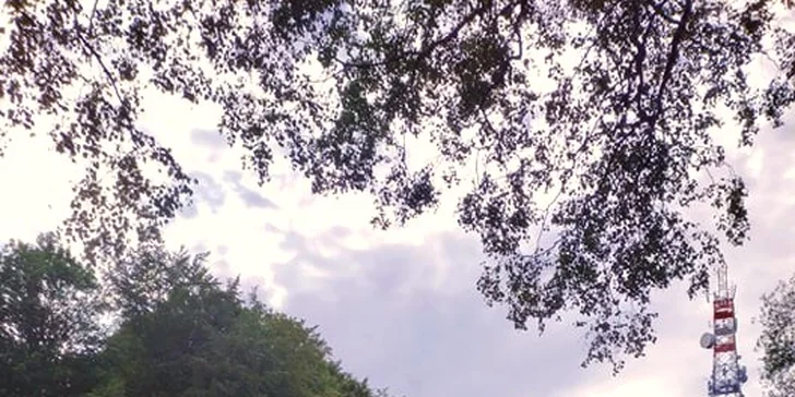 U hotelu můžete vidět i koně a poníky