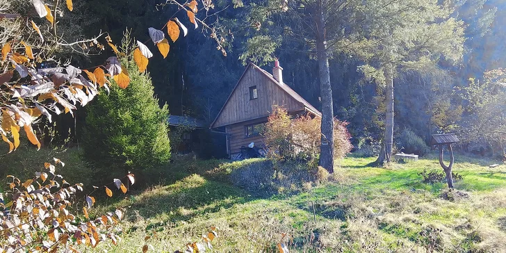 Poznáte včelařský rok – od stádií vývoje včelstva až po práci na včelnici. 