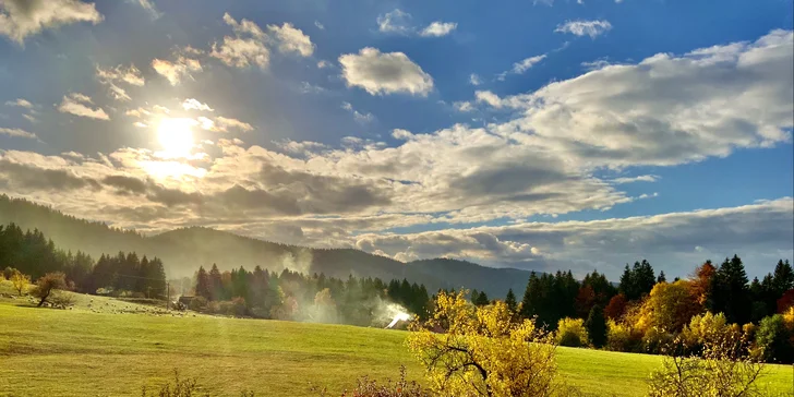 Patrí k nim príjemná záhrada s grilom na drevené uhlie a záhradným posedením.