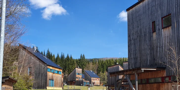 Spojení nádherné přírody a luxusu, to je apartmán Chalet 12, který je součástí Natura Parku v Harrachově.