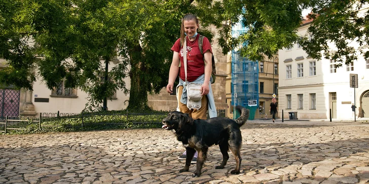 Na výber sú štyri témy komentovaných prechádzok.