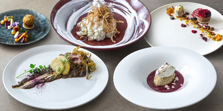 Luxusní gastrozážitek: 6chodové degustační menu pro dva s aperitivem i vinným párováním